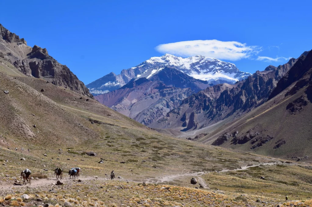 pack horses on trail near Aconcagua argentina