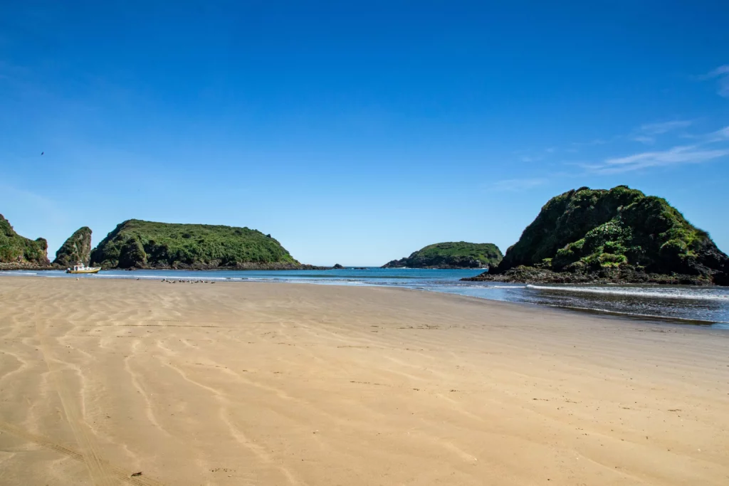 sand beach low tide Chiloé Archipelago, Chile