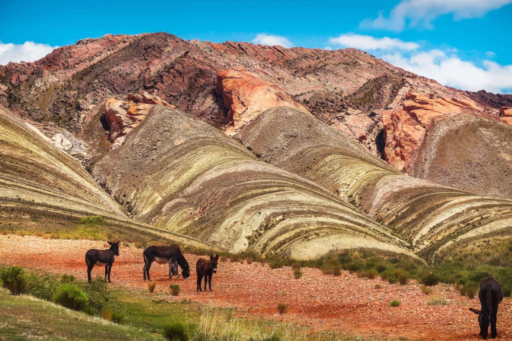 red rocks of Jujuy best places to visit in argentina