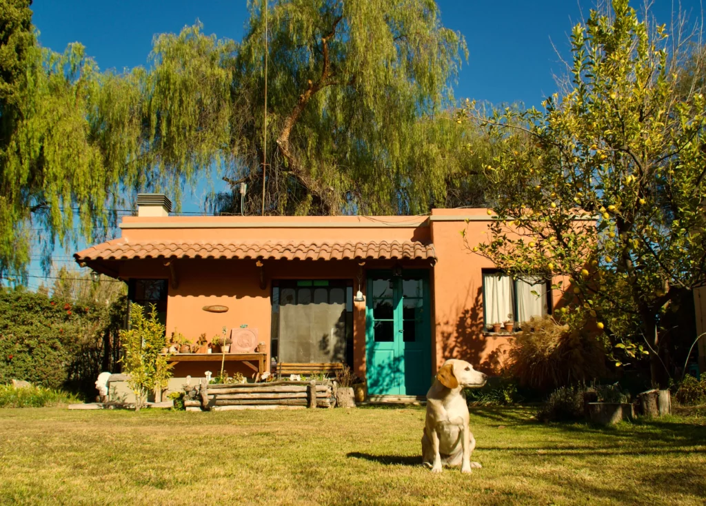 tiny house in argentina dog sitting in yard