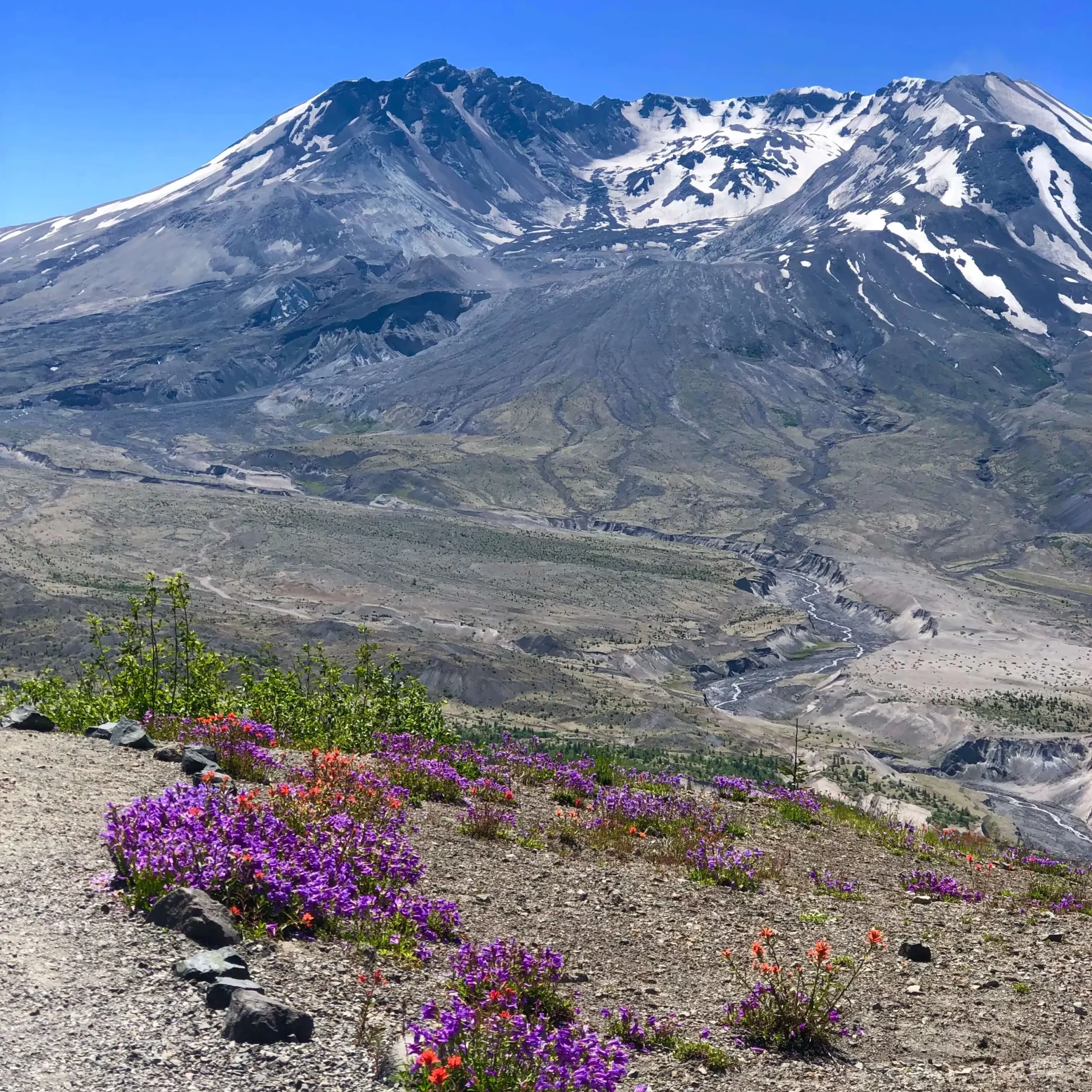 Backpacking for Beginners: A Complete Starter’s Guide - brookeonfoot.com