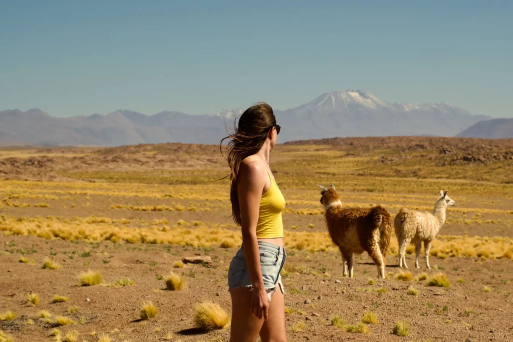 brooke on foot llamas atacama desert chile