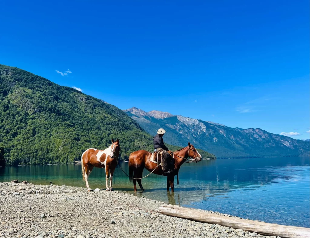 two horses one rider at edge of lake in chile 