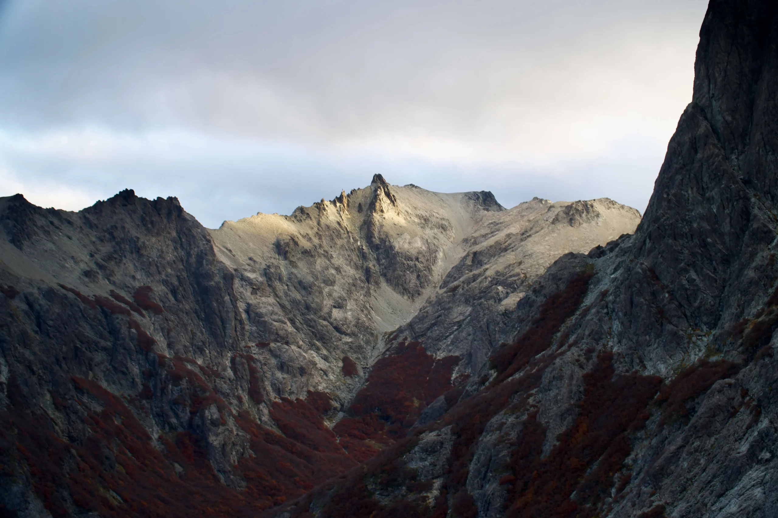 rocky mountain peak red lenga trees patagonia argentina