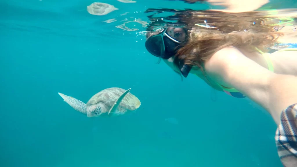 woman snorkeling with turtle