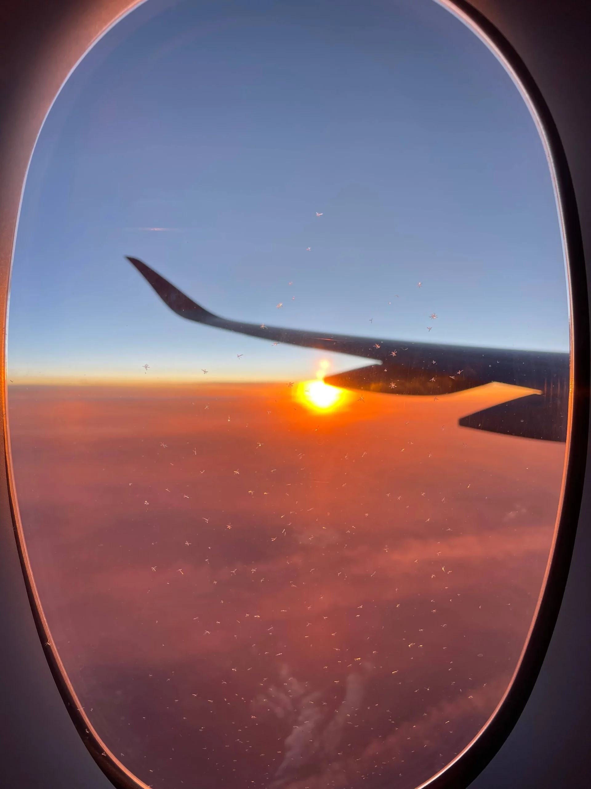 view from airplane seat out window wing sunset