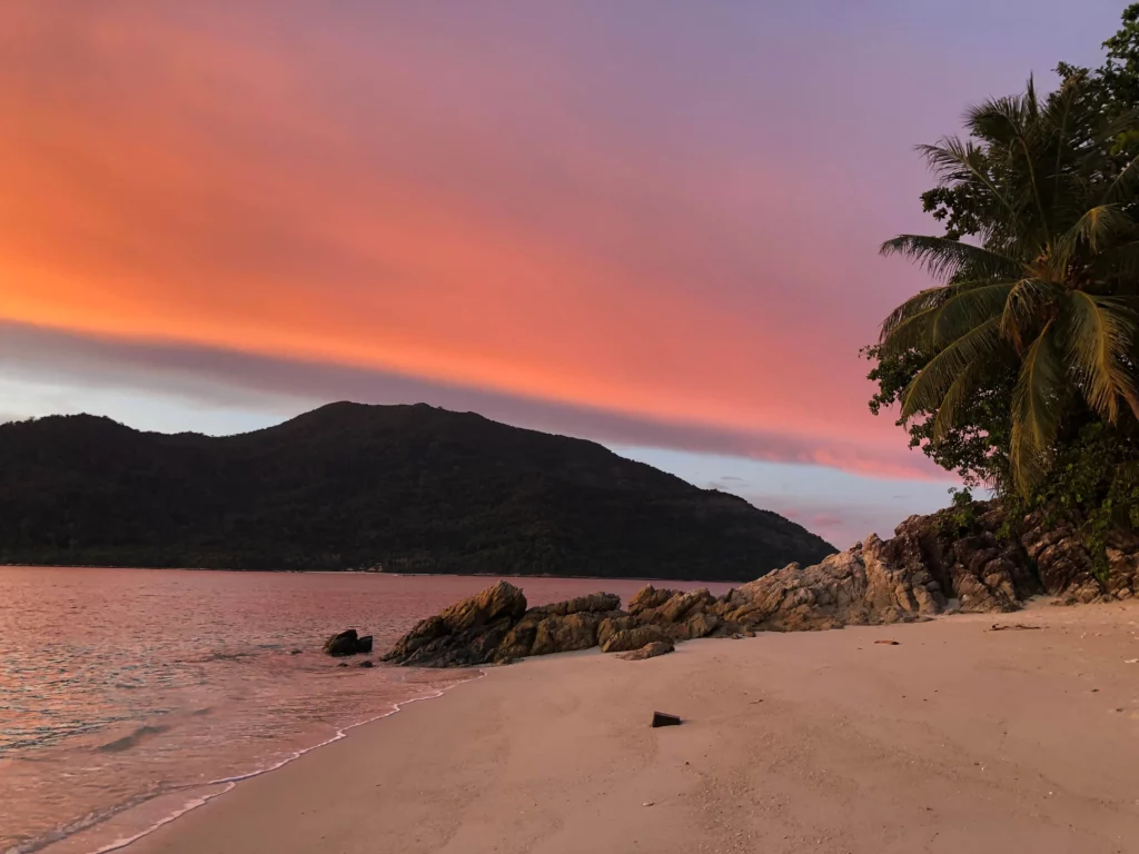 sunset pink sky beach palm tree thailand