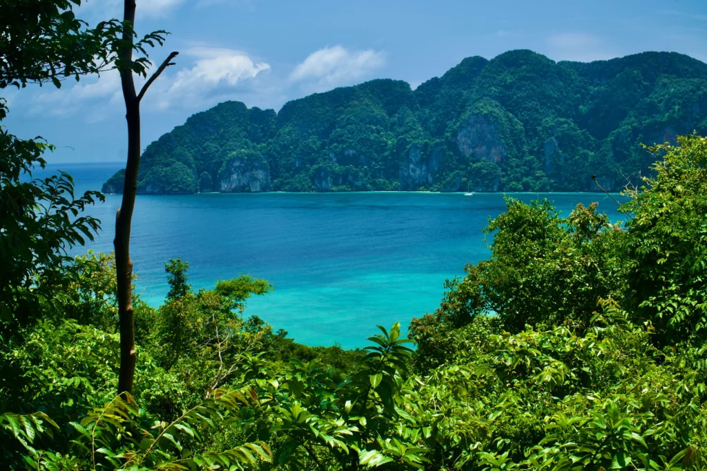 lush green jungle overlooking bright blue water island thailand