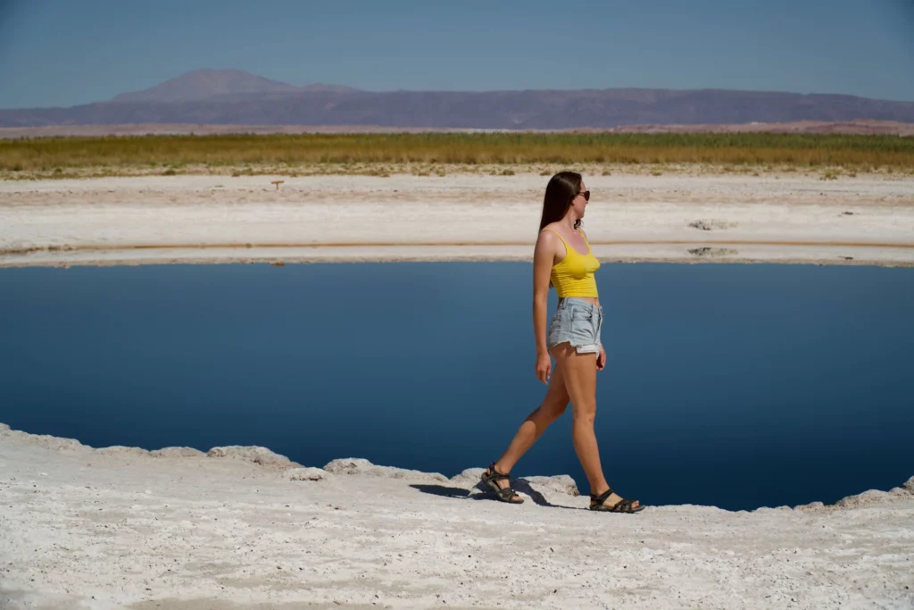 atacama desert things to do laguna chaxa chile