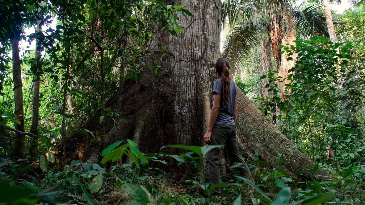 brooke on foot amazon rainforest peru huge tree