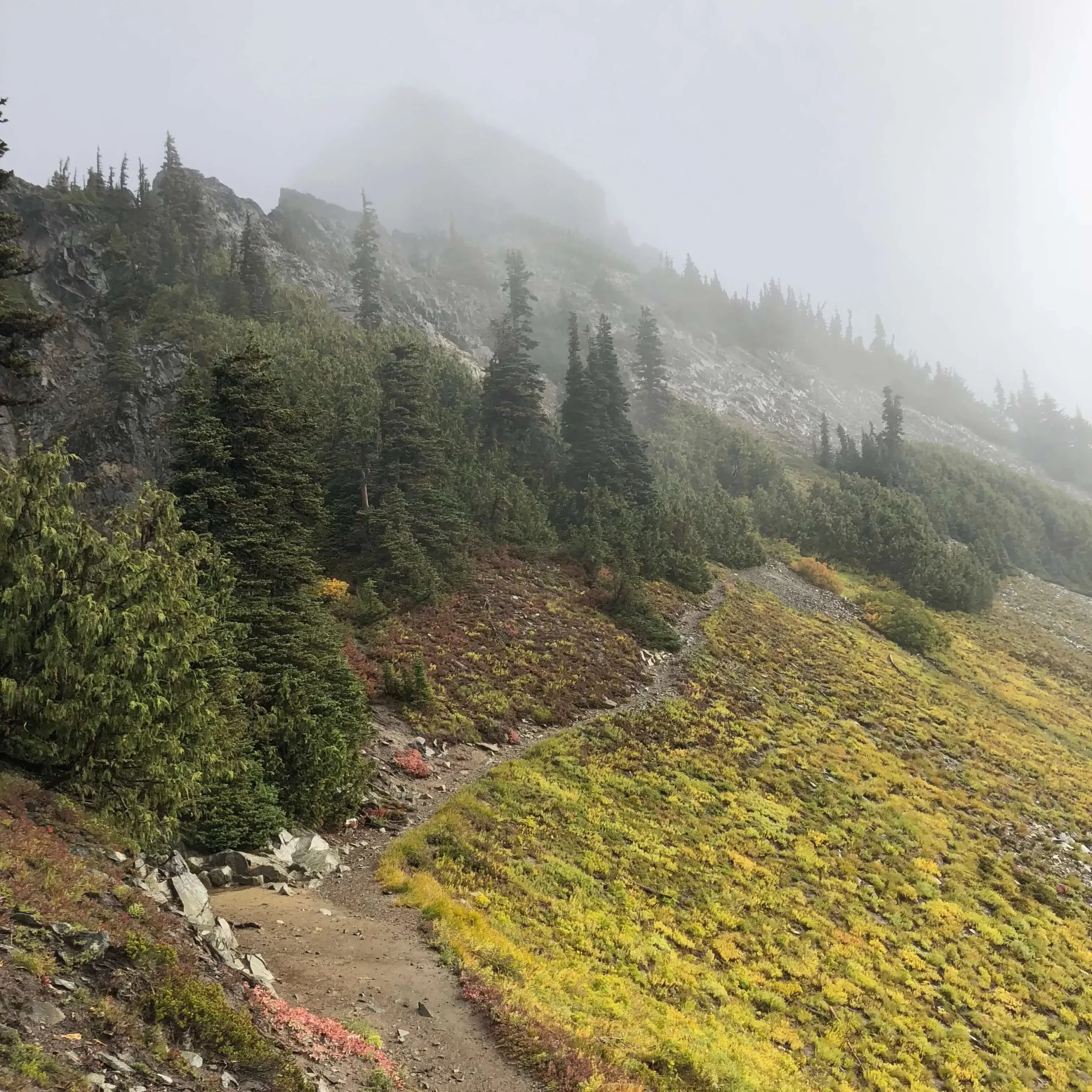 hiking for beginners trail foggy forest