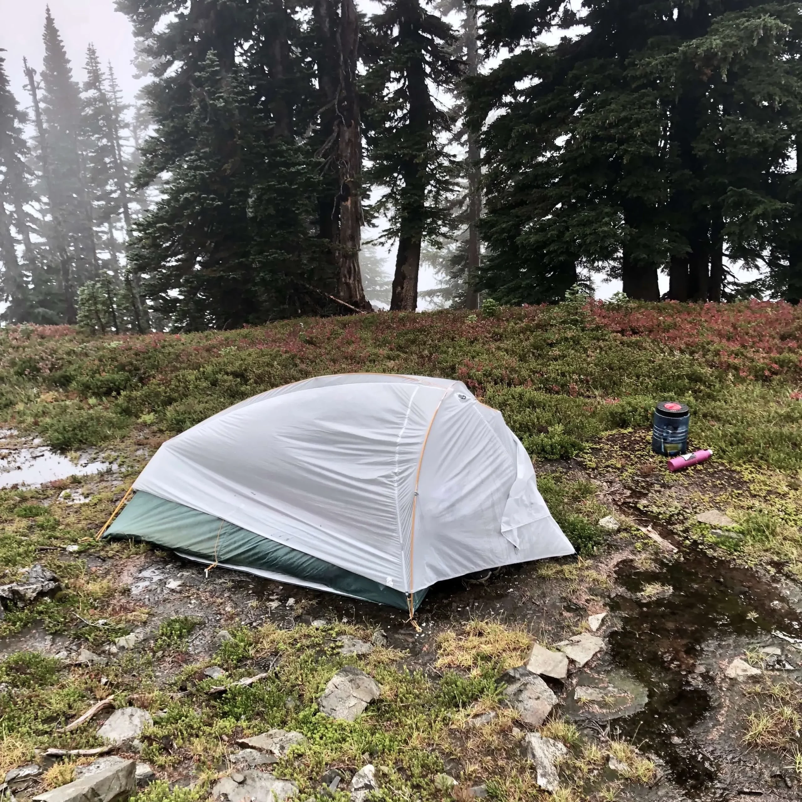 camping in the rain tent forest