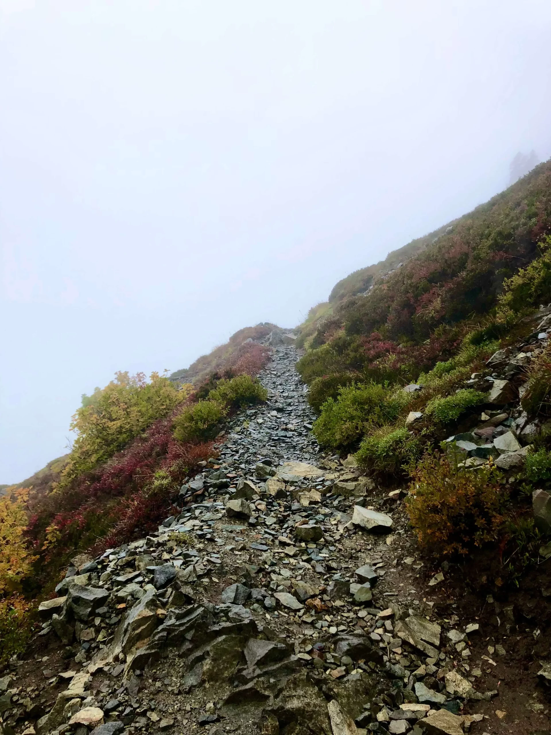 hiking in the rain trail fog