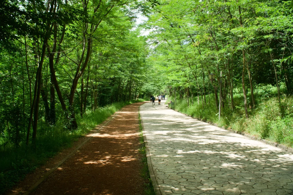 grand park tirana albania path trees