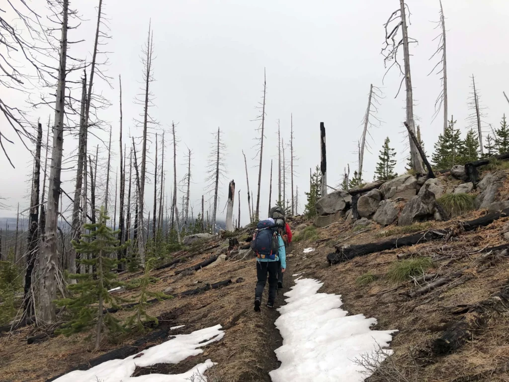 hiking for beginners snow trail