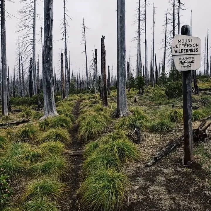camping for beginners trail sign state park 