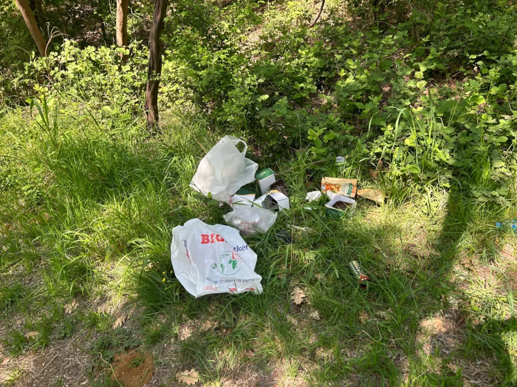 litter trash tirana albania