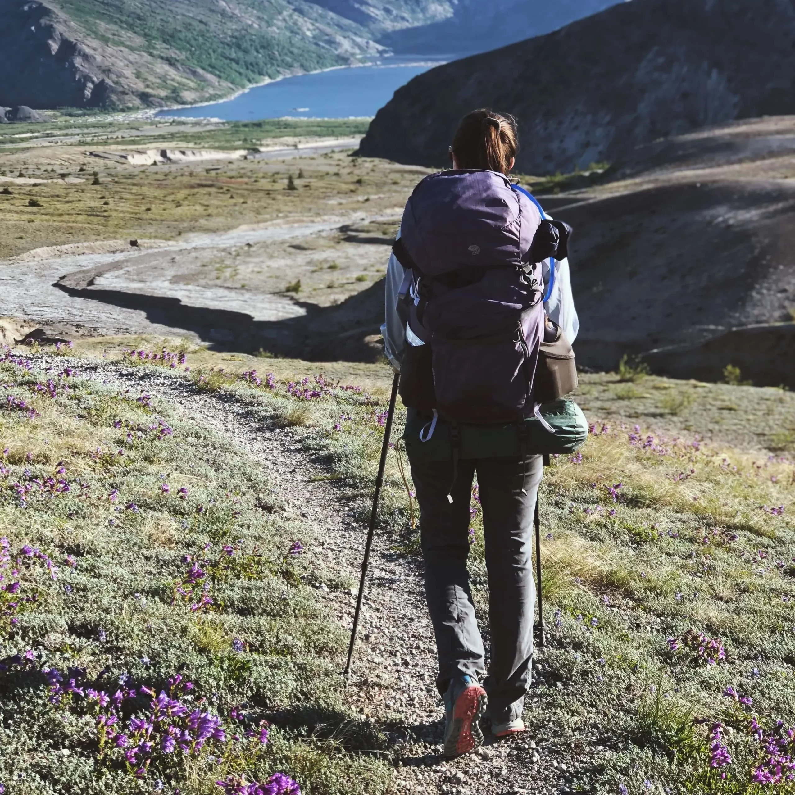 trekking poles hiking for beginners trail backpackinng camping