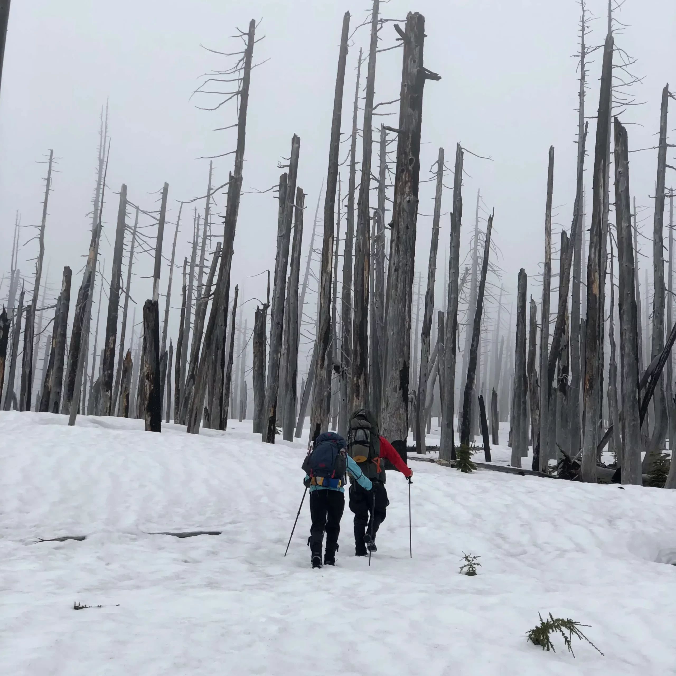 trekking poles benefits hiking