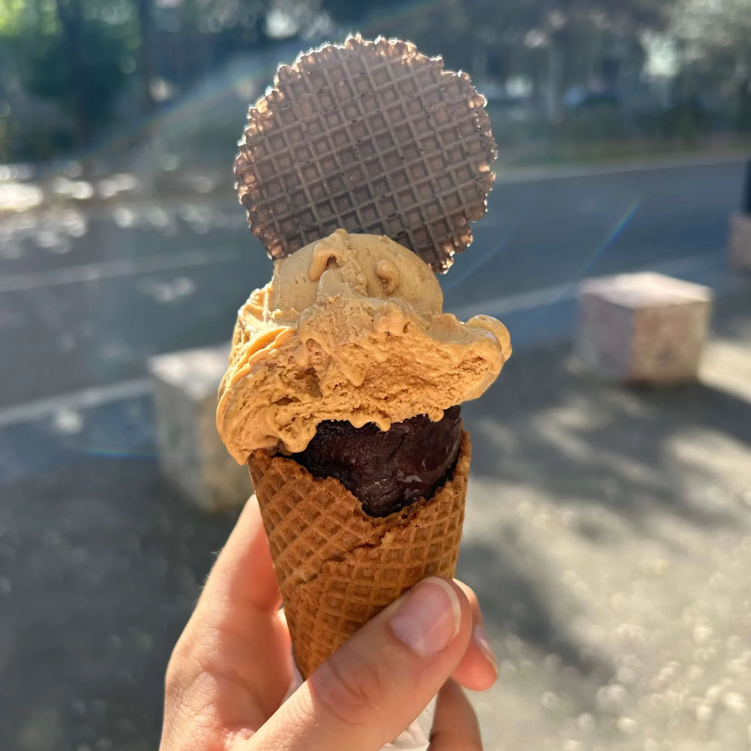 vegan ice cream tirana albania