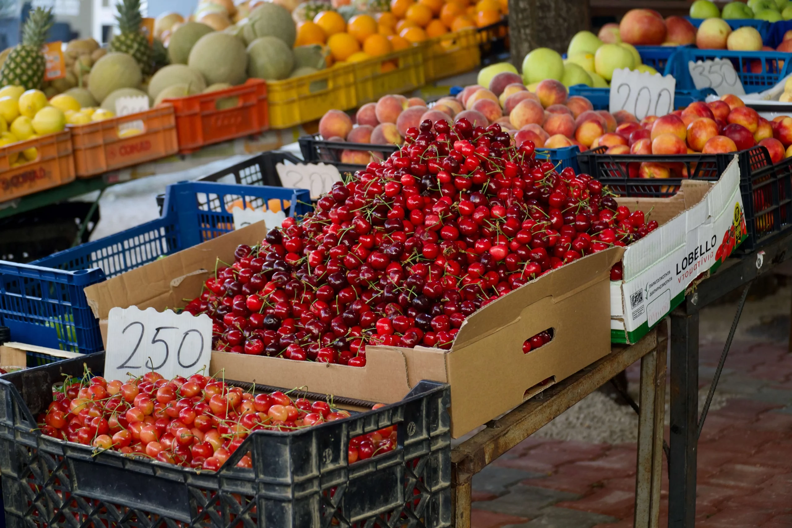 red cherries produce stand albania