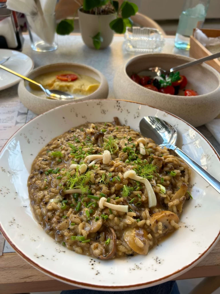 vegetarian food tirana albania risotto